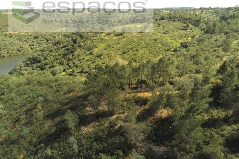 Helårsgrund i Castelo Branco, Castelo Branco, Castelo Branco - € 12.750 | Ref: 3770/MR - foto 4