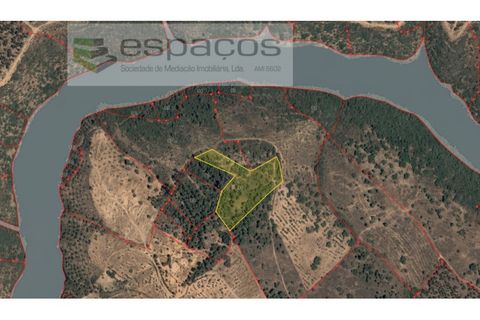 Helårsgrund i Castelo Branco, Castelo Branco, Castelo Branco - € 12.750 | Ref: 3770/MR - foto 15
