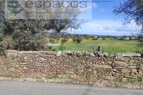 Terra a Castelo Branco, Castelo Branco, Castelo Branco - € 16.750 | Ref: 3774/MR - foto 2