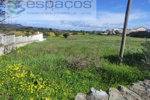 Terra a Castelo Branco, Castelo Branco, Castelo Branco - € 16.750 | Ref: 3774/MR - foto 3