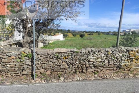 Terra a Castelo Branco, Castelo Branco, Castelo Branco - € 16.750 | Ref: 3774/MR - foto 4