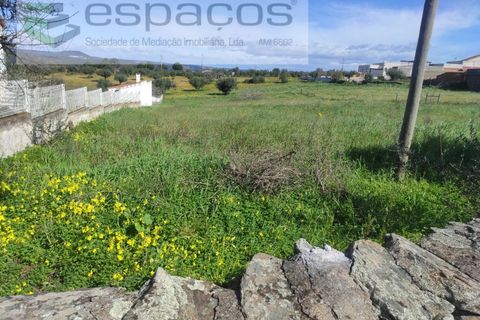 Terra a Castelo Branco, Castelo Branco, Castelo Branco - € 16.750 | Ref: 3774/MR - foto 5