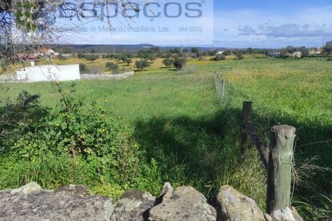 Terra a Castelo Branco, Castelo Branco, Castelo Branco - € 16.750 | Ref: 3774/MR - foto 6