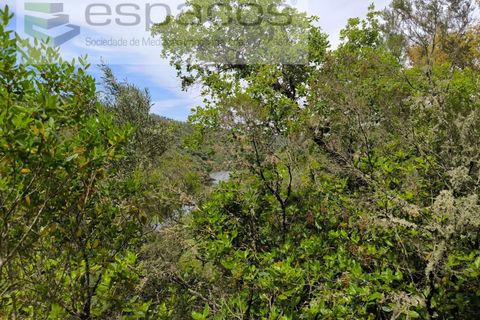 Helårsgrund i Castelo Branco, Castelo Branco, Castelo Branco - € 22.000 | Ref: 3805/MR - foto 2