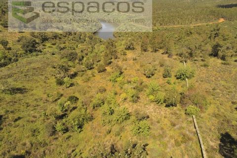 Helårsgrund i Castelo Branco, Castelo Branco, Castelo Branco - € 22.000 | Ref: 3805/MR - foto 3