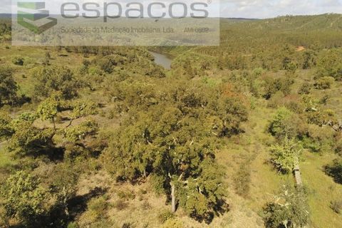 Helårsgrund i Castelo Branco, Castelo Branco, Castelo Branco - € 22.000 | Ref: 3805/MR - foto 4