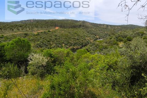 Helårsgrund i Castelo Branco, Castelo Branco, Castelo Branco - € 22.000 | Ref: 3805/MR - foto 5
