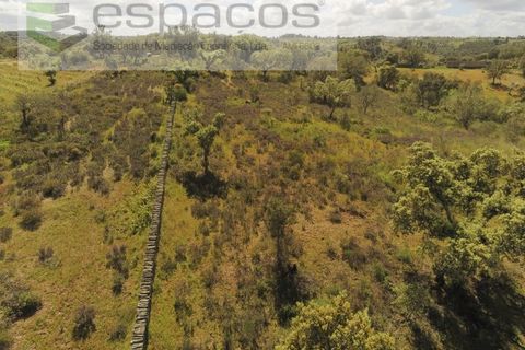 Helårsgrund i Castelo Branco, Castelo Branco, Castelo Branco - € 22.000 | Ref: 3805/MR - foto 6
