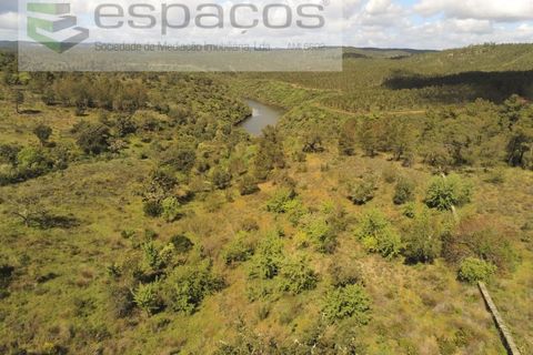 Helårsgrund i Castelo Branco, Castelo Branco, Castelo Branco - € 22.000 | Ref: 3805/MR - foto 7