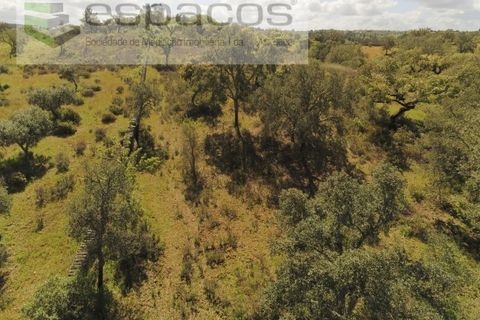 Helårsgrund i Castelo Branco, Castelo Branco, Castelo Branco - € 22.000 | Ref: 3805/MR - foto 9