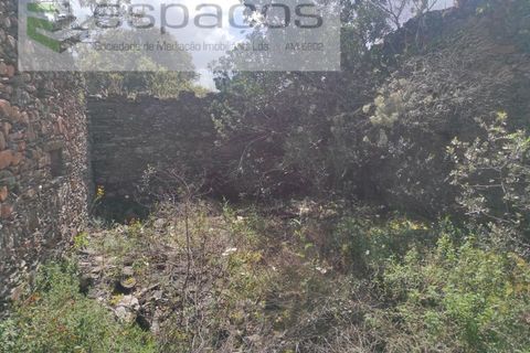 Helårsgrund i Castelo Branco, Castelo Branco, Castelo Branco - € 22.000 | Ref: 3805/MR - foto 10