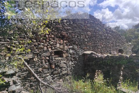 Helårsgrund i Castelo Branco, Castelo Branco, Castelo Branco - € 22.000 | Ref: 3805/MR - foto 11