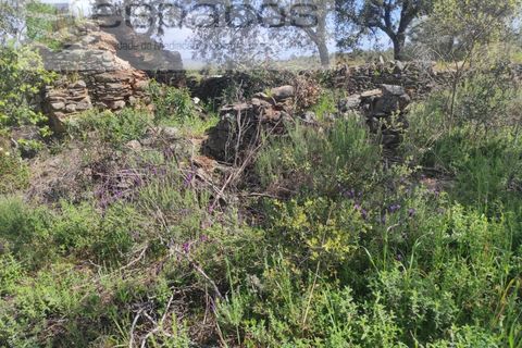 Helårsgrund i Castelo Branco, Castelo Branco, Castelo Branco - € 22.000 | Ref: 3805/MR - foto 12