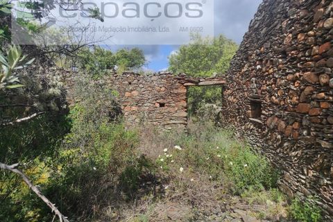 Helårsgrund i Castelo Branco, Castelo Branco, Castelo Branco - € 22.000 | Ref: 3805/MR - foto 14