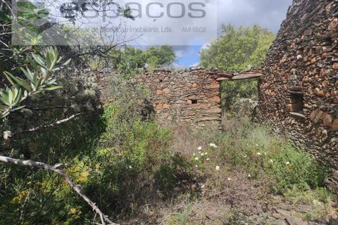 Helårsgrund i Castelo Branco, Castelo Branco, Castelo Branco - € 22.000 | Ref: 3805/MR - foto 15