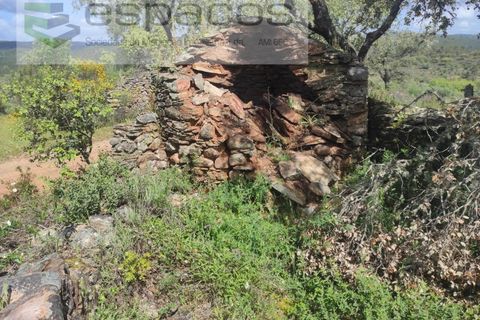 Helårsgrund i Castelo Branco, Castelo Branco, Castelo Branco - € 22.000 | Ref: 3805/MR - foto 16