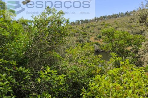 Helårsgrund i Castelo Branco, Castelo Branco, Castelo Branco - € 22.000 | Ref: 3805/MR - foto 18