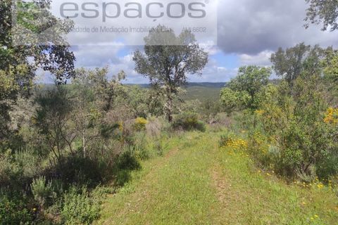 Helårsgrund i Castelo Branco, Castelo Branco, Castelo Branco - € 22.000 | Ref: 3805/MR - foto 20