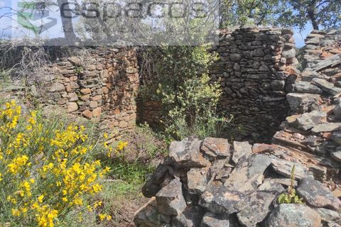 Helårsgrund i Castelo Branco, Castelo Branco, Castelo Branco - € 22.000 | Ref: 3805/MR - foto 21