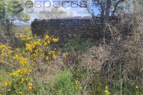 Helårsgrund i Castelo Branco, Castelo Branco, Castelo Branco - € 22.000 | Ref: 3805/MR - foto 22