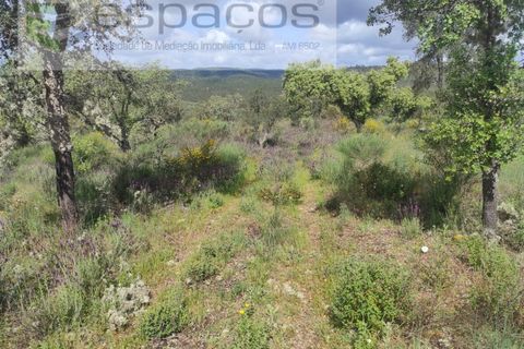 Helårsgrund i Castelo Branco, Castelo Branco, Castelo Branco - € 22.000 | Ref: 3805/MR - foto 23