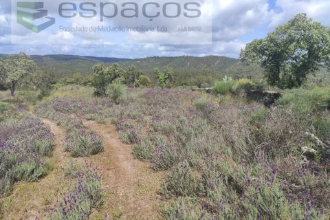 Helårsgrund i Castelo Branco, Castelo Branco, Castelo Branco - € 22.000 | Ref: 3805/MR - foto 24