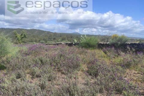 Helårsgrund i Castelo Branco, Castelo Branco, Castelo Branco - € 22.000 | Ref: 3805/MR - foto 26