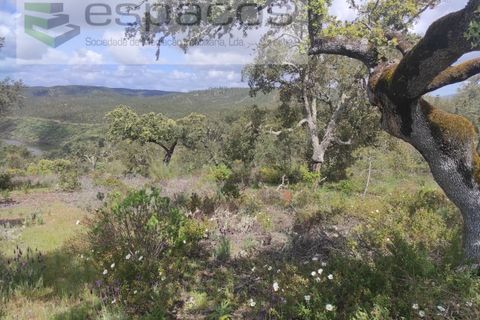 Helårsgrund i Castelo Branco, Castelo Branco, Castelo Branco - € 22.000 | Ref: 3805/MR - foto 28