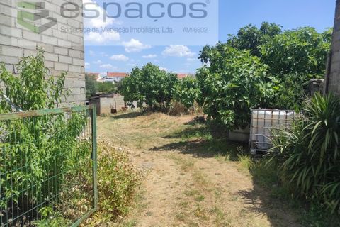 Farm i Castelo Branco, Castelo Branco, Castelo Branco - € 47.000 | Ref: 5606/MR - foto 2