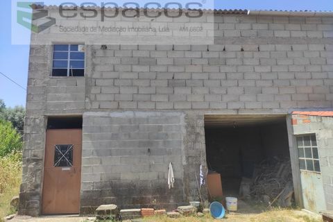 Farm i Castelo Branco, Castelo Branco, Castelo Branco - € 47.000 | Ref: 5606/MR - foto 3