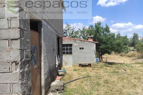 Farm i Castelo Branco, Castelo Branco, Castelo Branco - € 47.000 | Ref: 5606/MR - foto 4