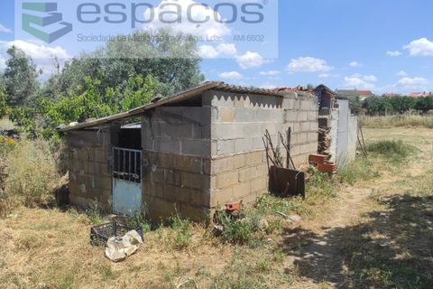 Farm i Castelo Branco, Castelo Branco, Castelo Branco - € 47.000 | Ref: 5606/MR - foto 5