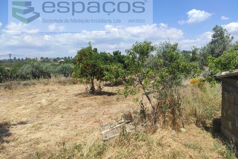 Farm i Castelo Branco, Castelo Branco, Castelo Branco - € 47.000 | Ref: 5606/MR - foto 6