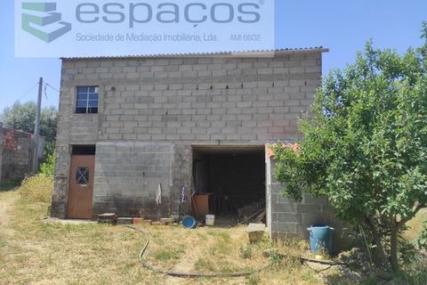 Farm i Castelo Branco, Castelo Branco, Castelo Branco - € 47.000 | Ref: 5606/MR - foto 7