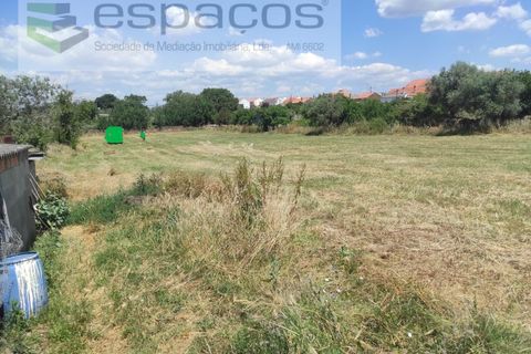 Farm i Castelo Branco, Castelo Branco, Castelo Branco - € 47.000 | Ref: 5606/MR - foto 9
