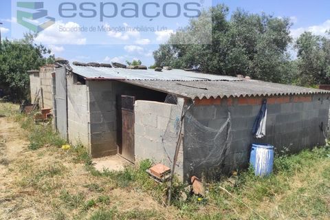 Farm i Castelo Branco, Castelo Branco, Castelo Branco - € 47.000 | Ref: 5606/MR - foto 10