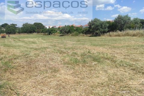 Farm i Castelo Branco, Castelo Branco, Castelo Branco - € 47.000 | Ref: 5606/MR - foto 12