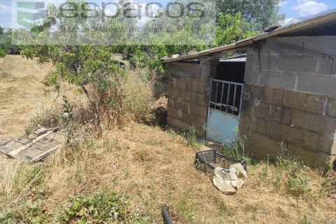 Farm i Castelo Branco, Castelo Branco, Castelo Branco - € 47.000 | Ref: 5606/MR - foto 14