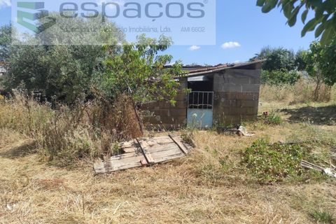 Farm i Castelo Branco, Castelo Branco, Castelo Branco - € 47.000 | Ref: 5606/MR - foto 18
