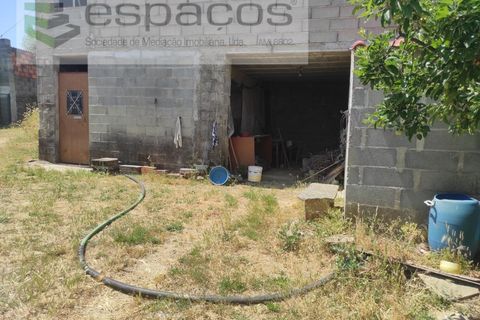 Farm i Castelo Branco, Castelo Branco, Castelo Branco - € 47.000 | Ref: 5606/MR - foto 19