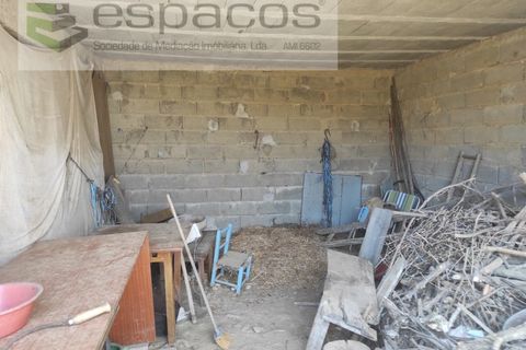 Farm i Castelo Branco, Castelo Branco, Castelo Branco - € 47.000 | Ref: 5606/MR - foto 20