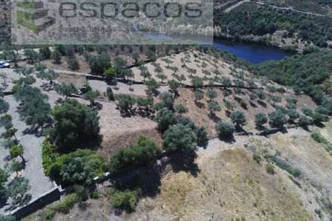 Terra a Perais, Castelo Branco, Perais - € 15.000 | Ref: 5017/RR_EM - foto 2