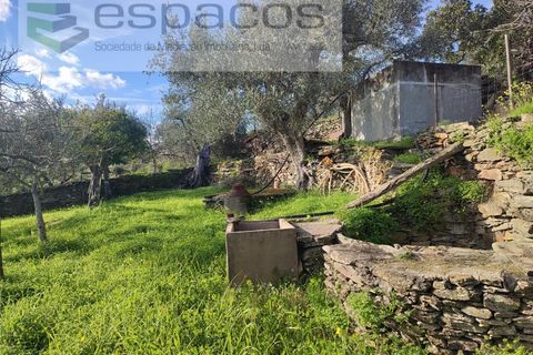 Terra a Perais, Castelo Branco, Perais - € 15.000 | Ref: 5017/RR_EM - foto 4