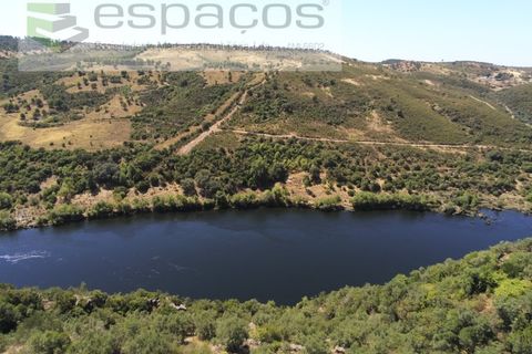 Terra a Perais, Castelo Branco, Perais - € 15.000 | Ref: 5017/RR_EM - foto 5