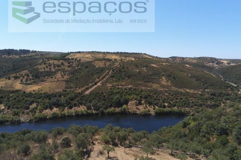 Terra a Perais, Castelo Branco, Perais - € 15.000 | Ref: 5017/RR_EM - foto 6