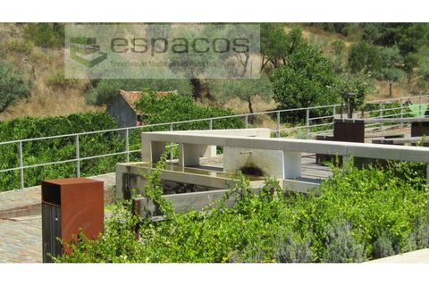 Terra a Perais, Castelo Branco, Perais - € 15.000 | Ref: 5017/RR_EM - foto 9