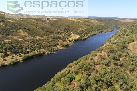Terra a Perais, Castelo Branco, Perais - € 15.000 | Ref: 5017/RR_EM - foto 10