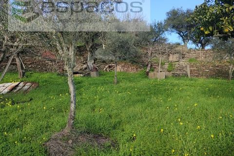 Terra a Perais, Castelo Branco, Perais - € 15.000 | Ref: 5017/RR_EM - foto 13