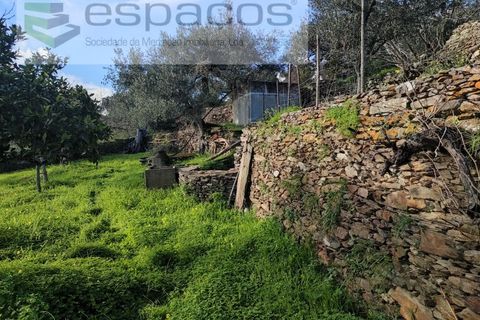 Terra a Perais, Castelo Branco, Perais - € 15.000 | Ref: 5017/RR_EM - foto 14