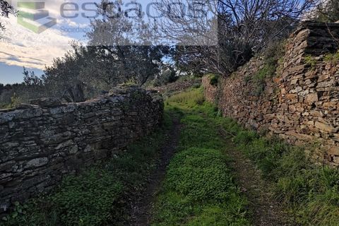 Terra a Perais, Castelo Branco, Perais - € 15.000 | Ref: 5017/RR_EM - foto 16